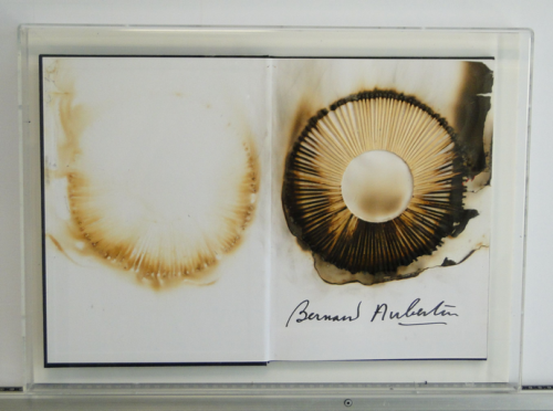 Bernard Aubertin,Burned book