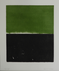 Günther Förg, Grün-Schwarz