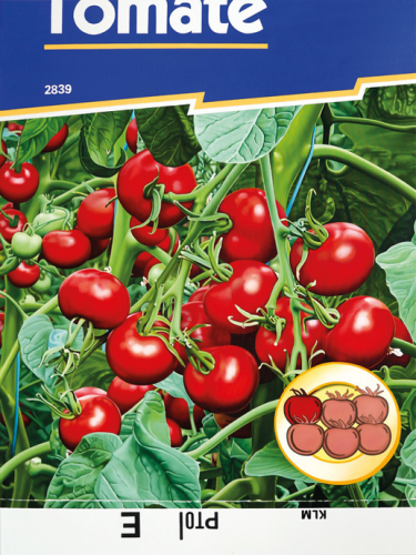 Günter Beier, Saattüte-Tomate