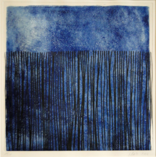 Johannes Haider, Wald im Vollmond