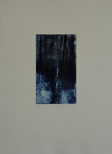 Johannes Haider, Wald