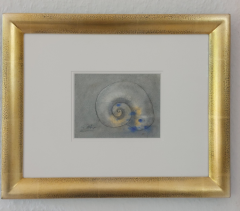 Monila-Reiter-Zirnau-kleine-Schnecke