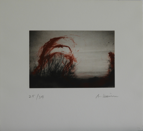 Arnulf-Rainer-mein-Obstgarten25-39