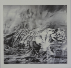 Gerhard Richter, Tiger