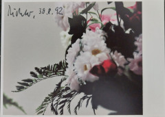 Gerhard Richter, Blumen