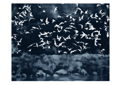 Gerhard Richter, Vögel