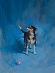 Vinzenz Schüller, Dog with blue background